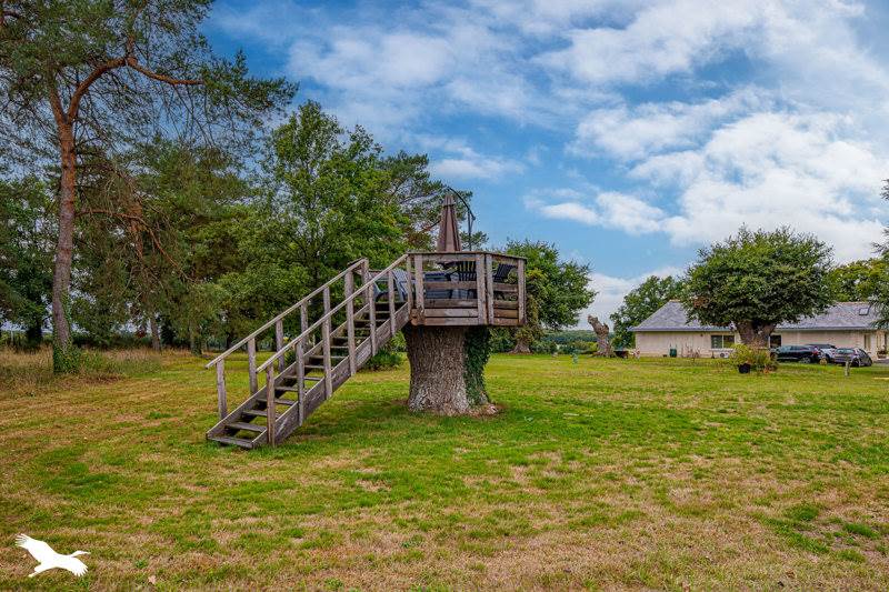 Vente Maison VILLELOIN COULANGE - 12 pièces -381 m² - (37460)