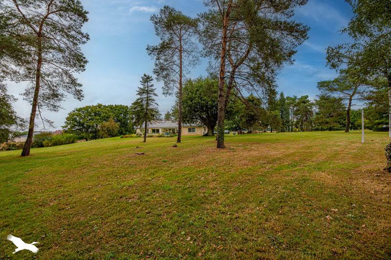 Vente Maison VILLELOIN COULANGE - 12 pièces -381 m² - (37460)