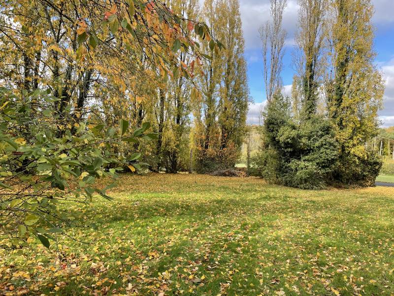 Vente Terrain FERRIERE SUR BEAULIEU - -1371 m² - (37600)