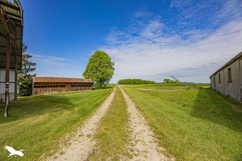 Vente Maison VILLELOIN COULANGE - 7 pièces -149 m² - (37460)