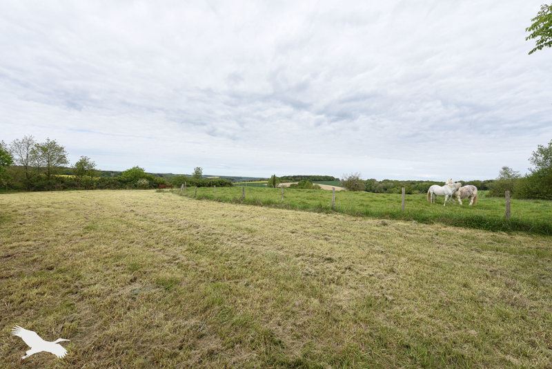 Vente Maison ST HIPPOLYTE - 10 pièces -268 m² - (37600)