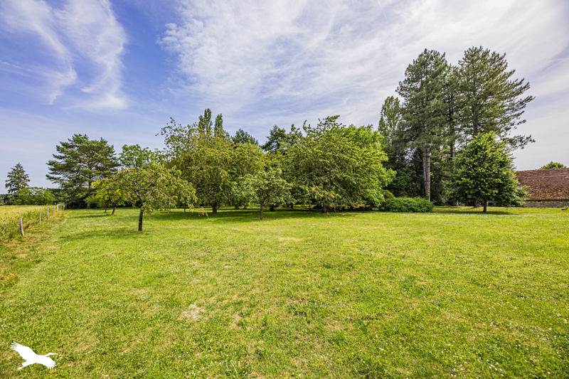 Vente Maison ST SENOCH - 10 pièces -252 m² - (37600)