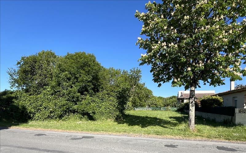 Vente Terrain SAUJON - -630 m² - (17600)