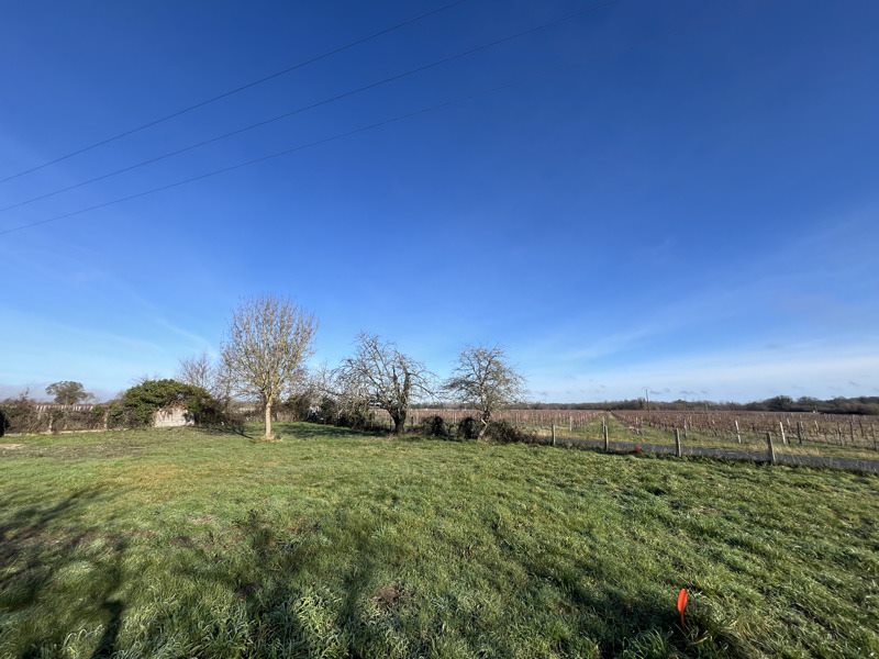 Vente Terrain LE CHAY - -543 m² - (17600)
