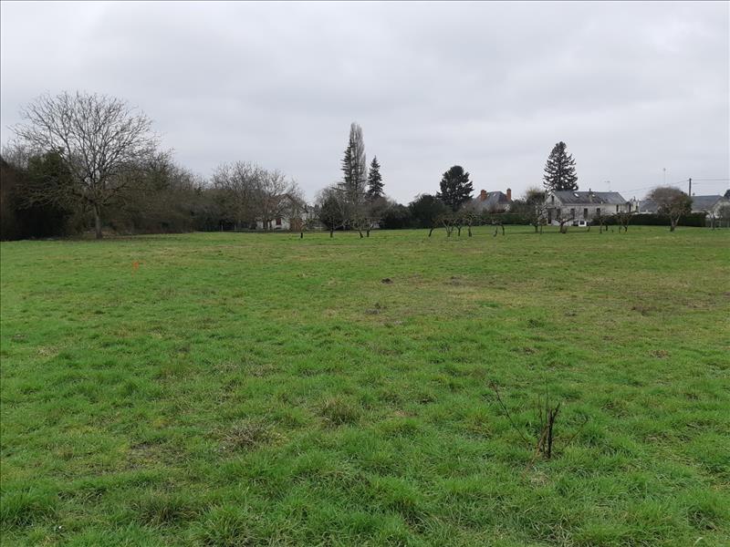 Vente Terrain PALLUAU SUR INDRE - -6138 m² - (36500)