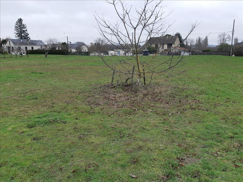 Vente Terrain PALLUAU SUR INDRE - -6138 m² - (36500)