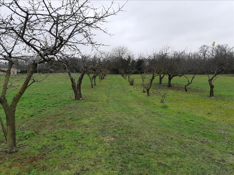 Vente Terrain PALLUAU SUR INDRE - -6138 m² - (36500)
