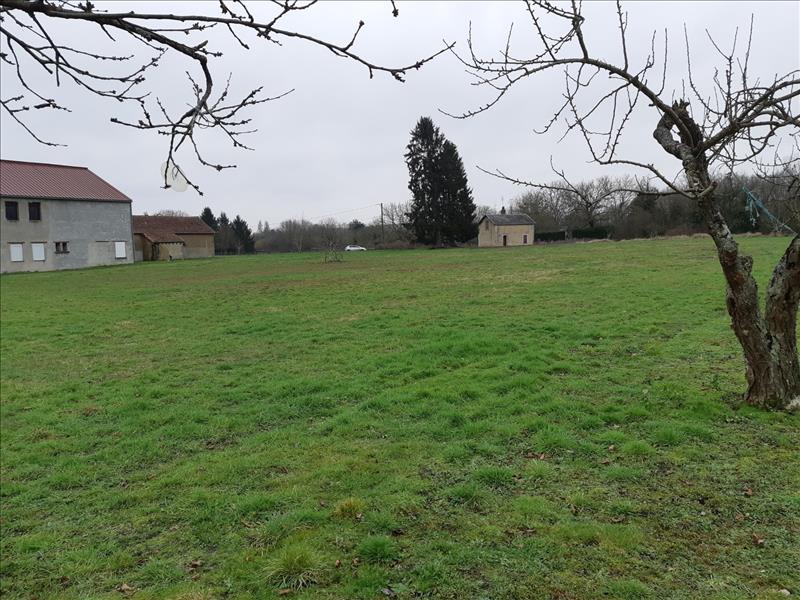 Vente Terrain PALLUAU SUR INDRE - -6138 m² - (36500)