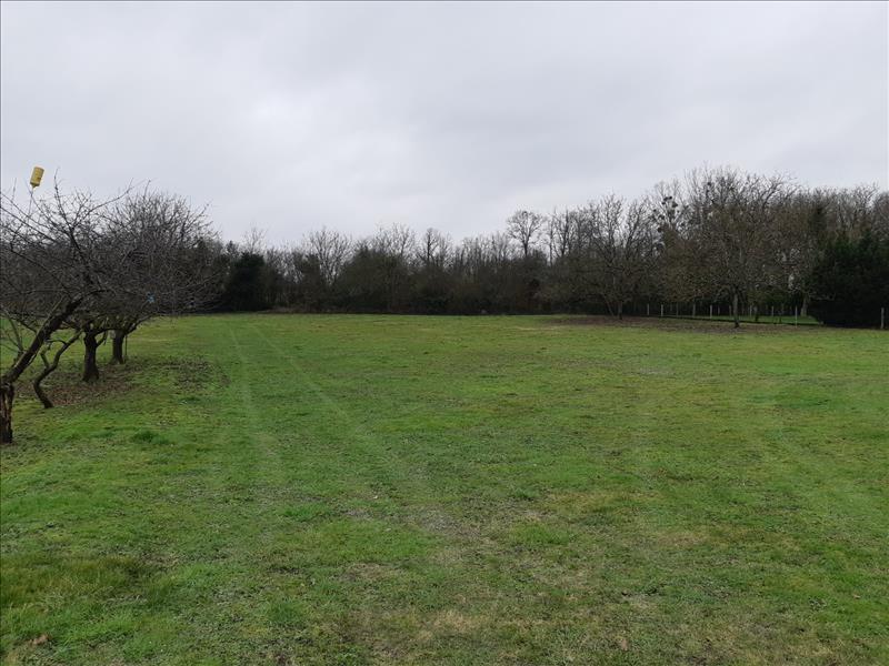 Vente Terrain PALLUAU SUR INDRE - -1474 m² - (36500)