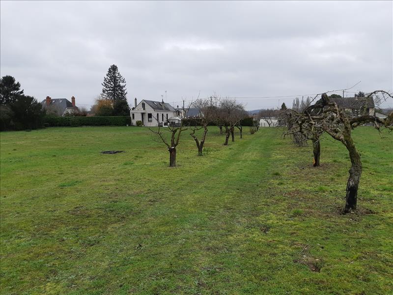 Vente Terrain PALLUAU SUR INDRE - -1474 m² - (36500)