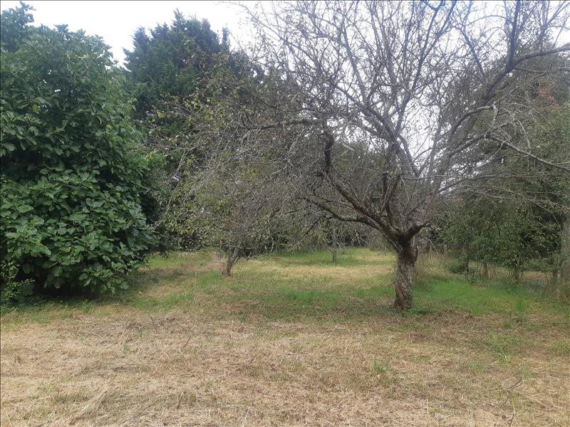 Vente Maison ARPHEUILLES - 5 pièces -129 m² - (36700)