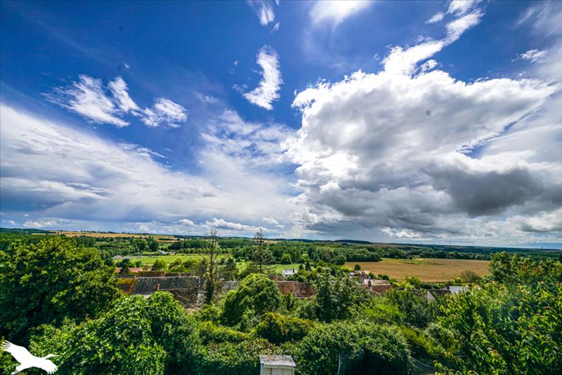 Vente Maison PALLUAU SUR INDRE - 6 pièces -196 m² - (36500)