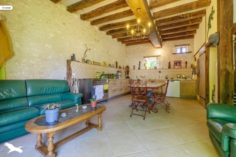 Vente Maison CLION - 16 pièces -520 m² - (36700)