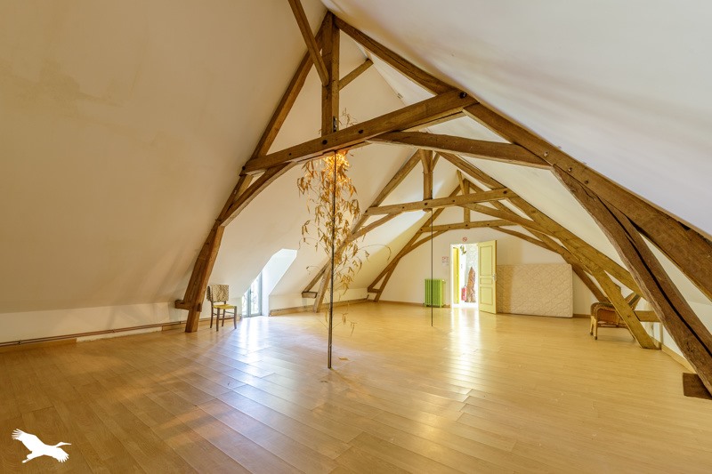 Vente Maison CLION - 16 pièces -520 m² - (36700)