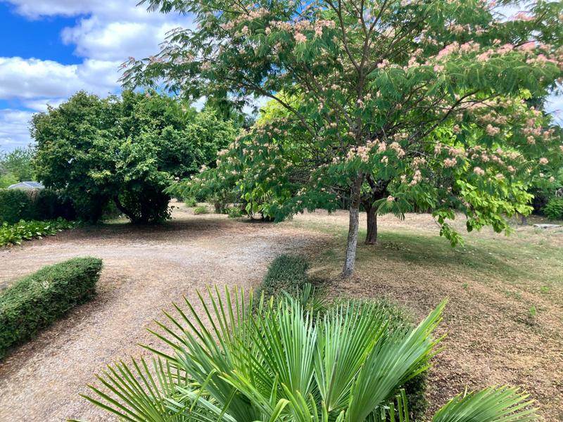 Vente Maison BUZANCAIS - 7 pièces -198 m² - (36500)