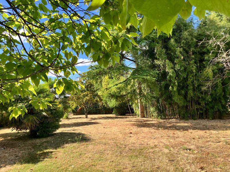 Vente Maison BUZANCAIS - 7 pièces -198 m² - (36500)