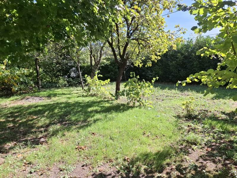 Vente Maison LE TRANGER - 4 pièces -82 m² - (36700)