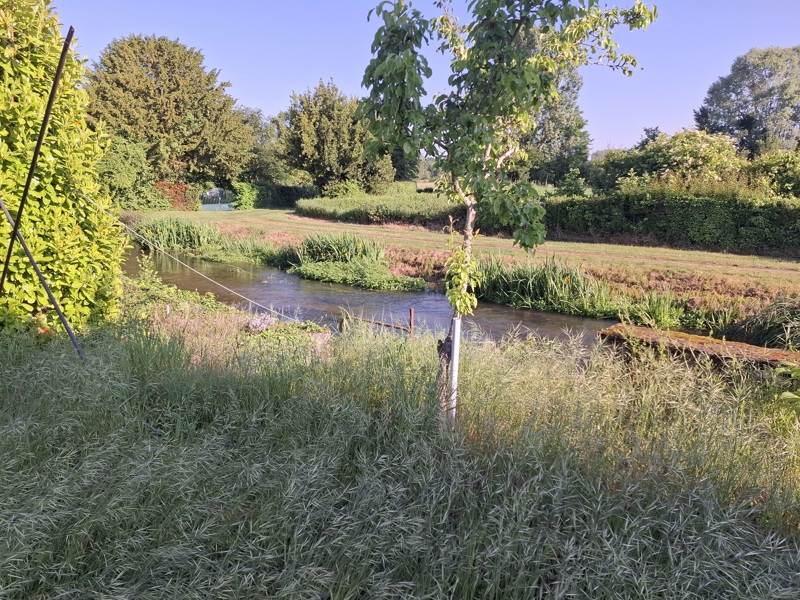 Vente Maison ST GENOU - 6 pièces -149 m² - (36500)
