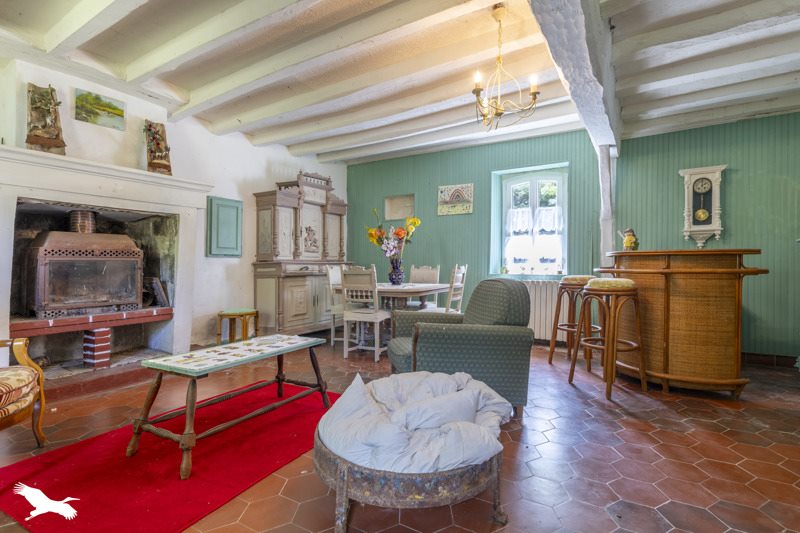 Vente Maison PELLEVOISIN - 5 pièces -222 m² - (36180)