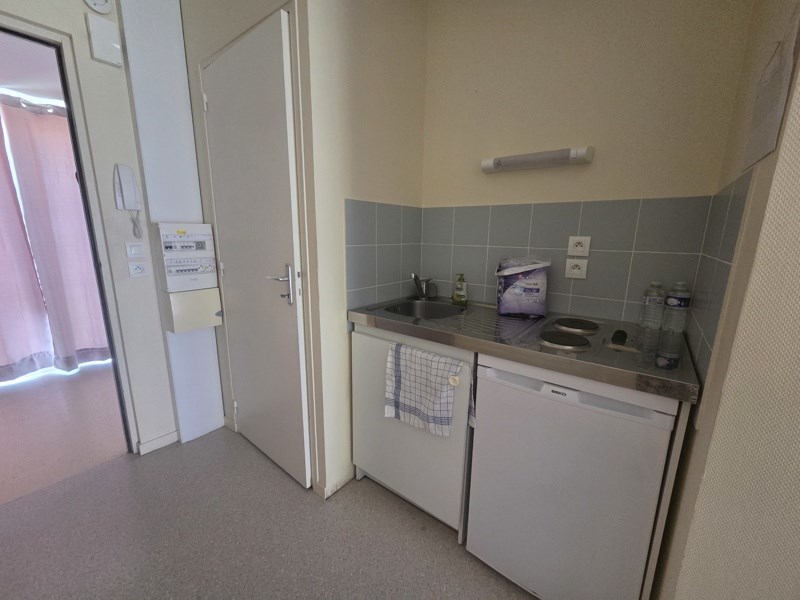 Vente Appartement VILLEDIEU SUR INDRE - 1 pièce -26 m² - (36320)
