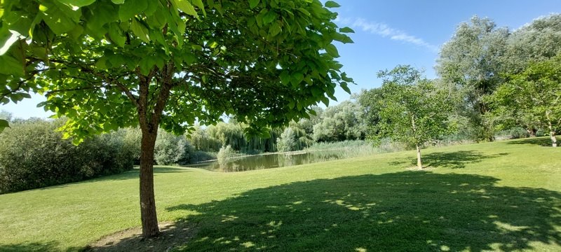 Vente Terrain ST GENOU - -14200 m² - (36500)