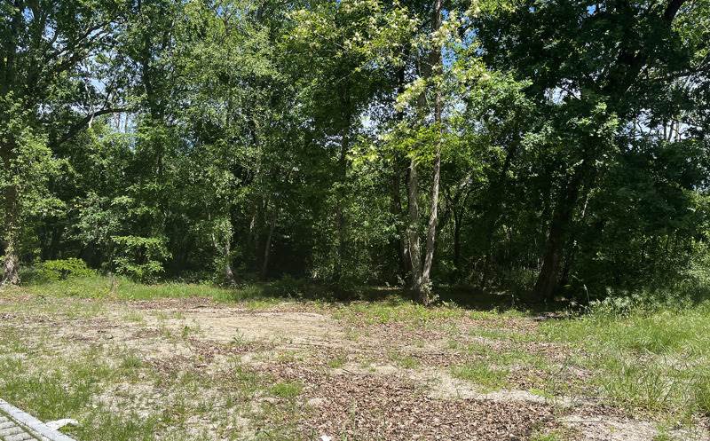 Vente Terrain BLANQUEFORT - -845 m² - (33290)