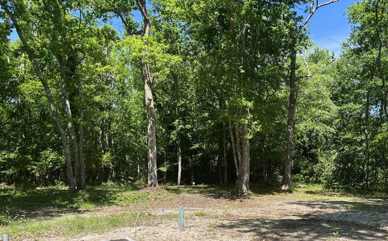Vente Terrain BLANQUEFORT - -871 m² - (33290)