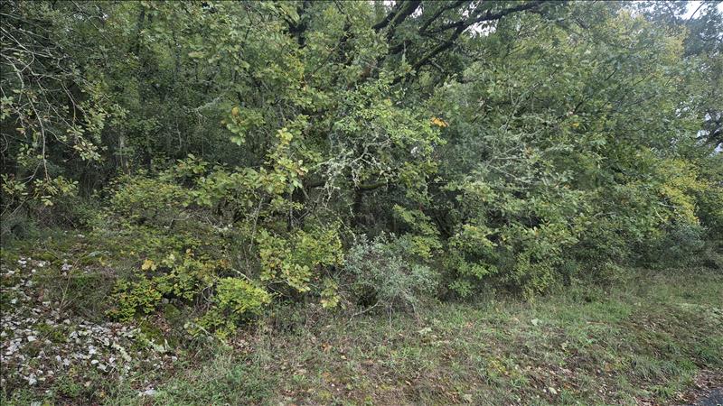 Vente Terrain SOUILLAC - -2247 m² - (46200)