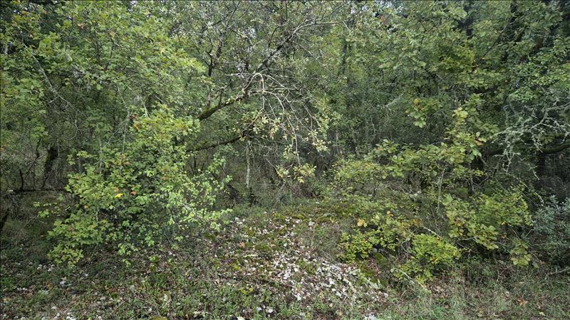 Vente Terrain SOUILLAC - -2247 m² - (46200)