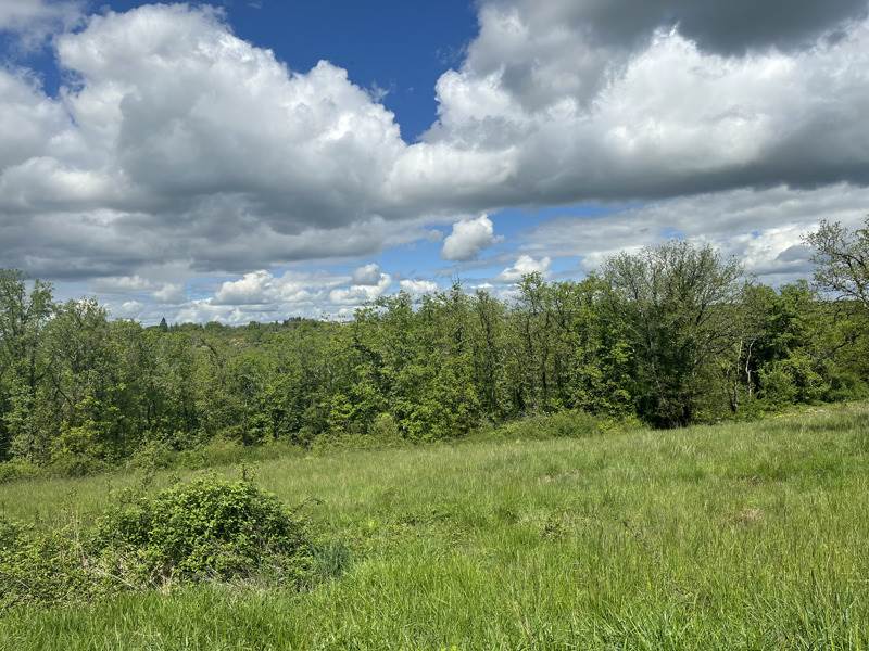 Vente Terrain LACHAPELLE AUZAC - -1100 m² - (46200)
