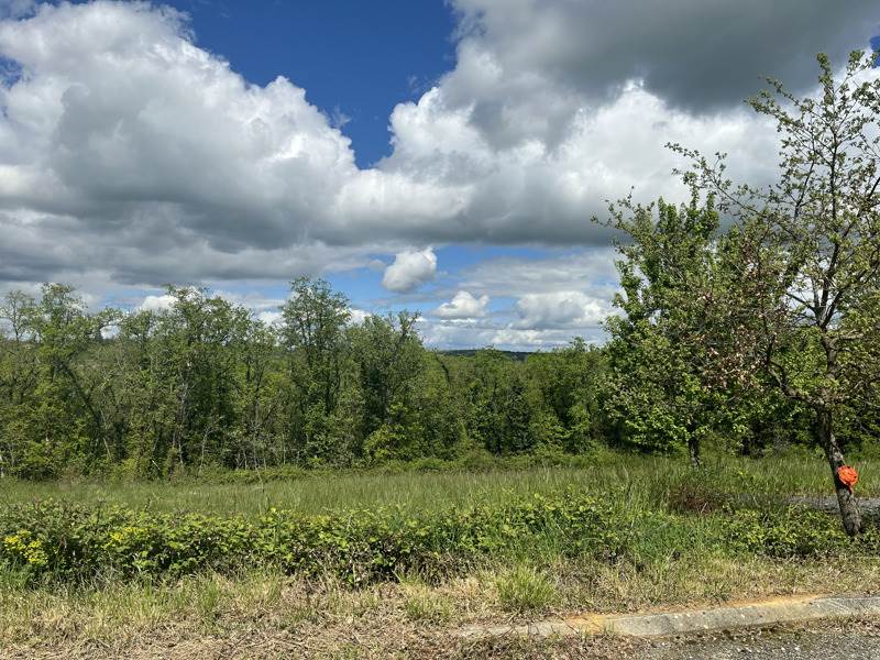 Vente Terrain LACHAPELLE AUZAC - -1100 m² - (46200)