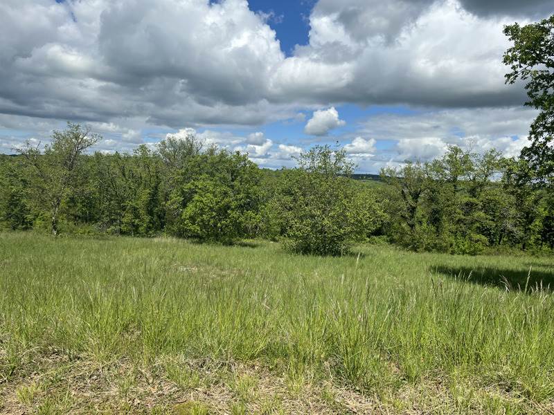 Vente Terrain LACHAPELLE AUZAC - -1150 m² - (46200)