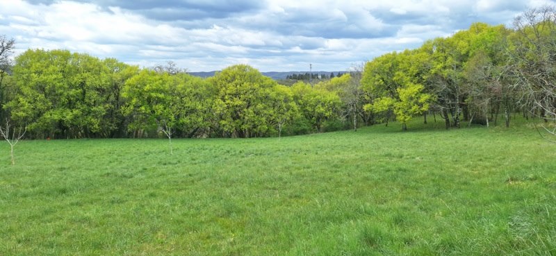 Vente Terrain PINSAC - -6000 m² - (46200)