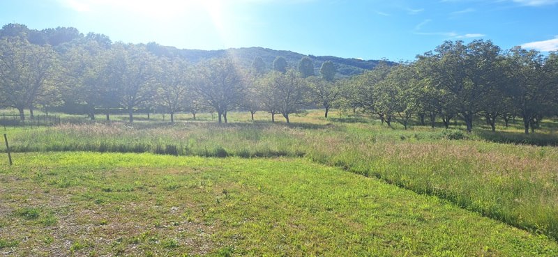 Vente Terrain LANZAC - -1850 m² - (46200)