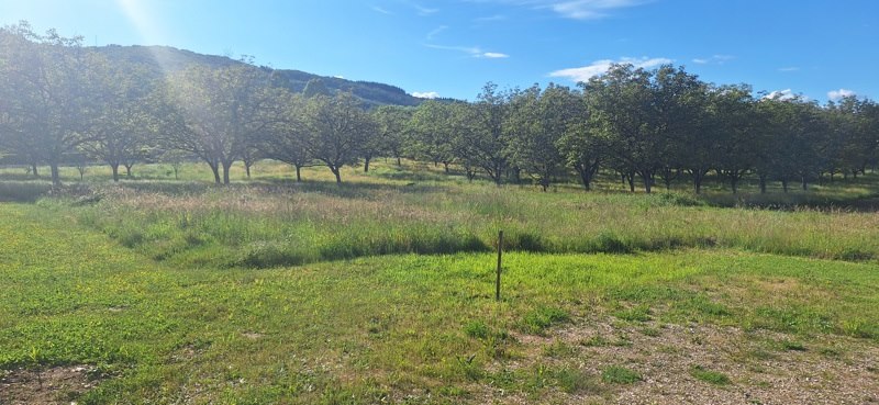 Vente Terrain LANZAC - -1850 m² - (46200)