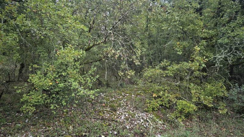 Vente Terrain PINSAC - -853 m² - (46200)
