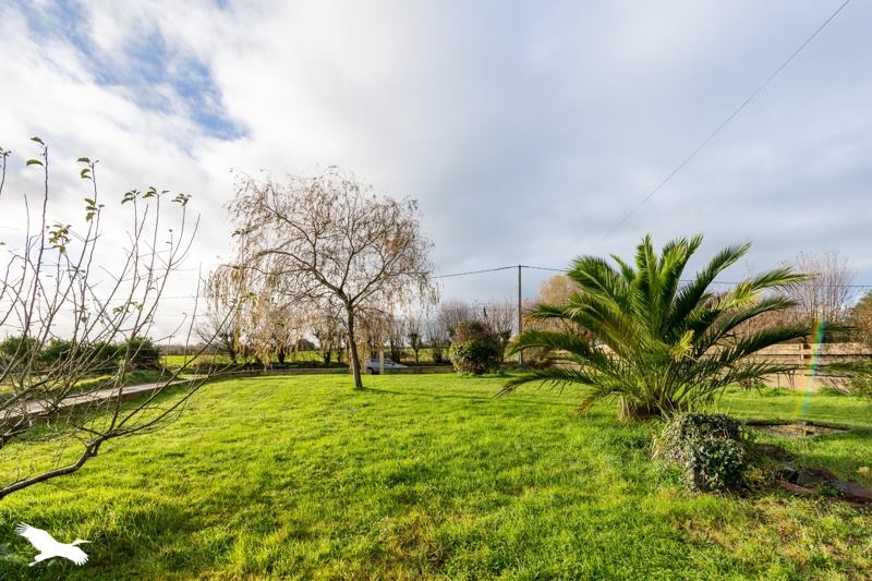 Vente Maison ST THONAN - 6 pièces -128 m² - (29800)