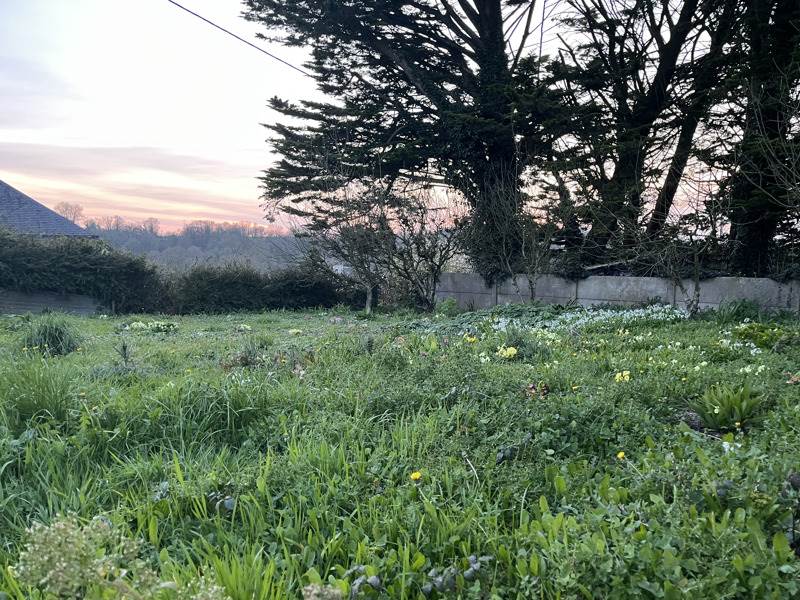 Vente Terrain SIZUN - -370 m² - (29450)