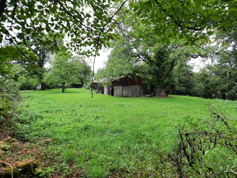 Vente Terrain MAYRINHAC LENTOUR - -3994 m² - (46500)