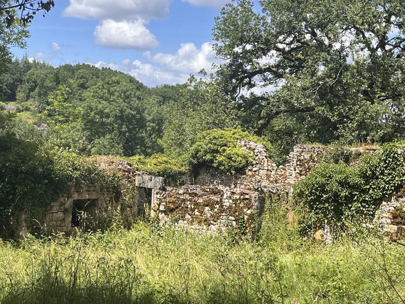 Vente Maison THEMINES - - - (46120)