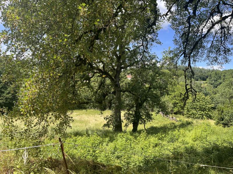 Vente Maison THEMINES - - - (46120)
