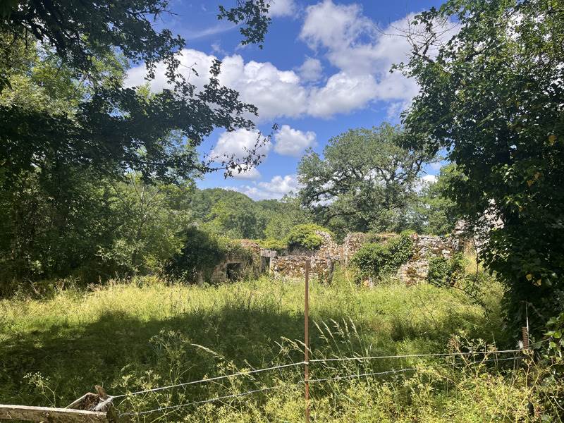 Vente Maison THEMINES - - - (46120)