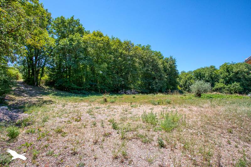 Vente Maison ISSENDOLUS - 5 pièces -250 m² - (46500)