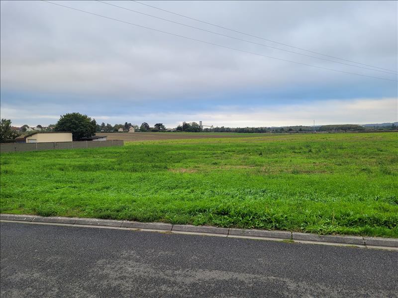 Vente Terrain LA CELLE ST AVANT - -3338 m² - (37160)