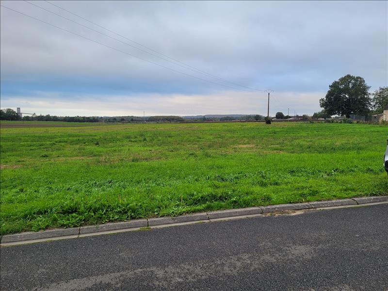 Vente Terrain LA CELLE ST AVANT - -3338 m² - (37160)