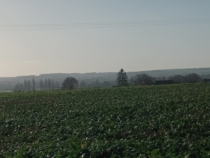 Vente Terrain TROGUES - -3090 m² - (37220)