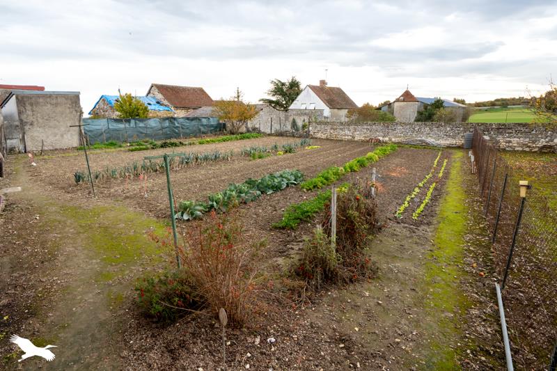 Vente Maison ANTOGNY LE TILLAC - 5 pièces -133 m² - (37800)