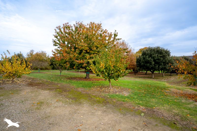 Vente Maison ANTOGNY LE TILLAC - 5 pièces -133 m² - (37800)