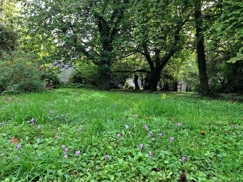 Vente Maison PUSSIGNY - 4 pièces -103 m² - (37800)
