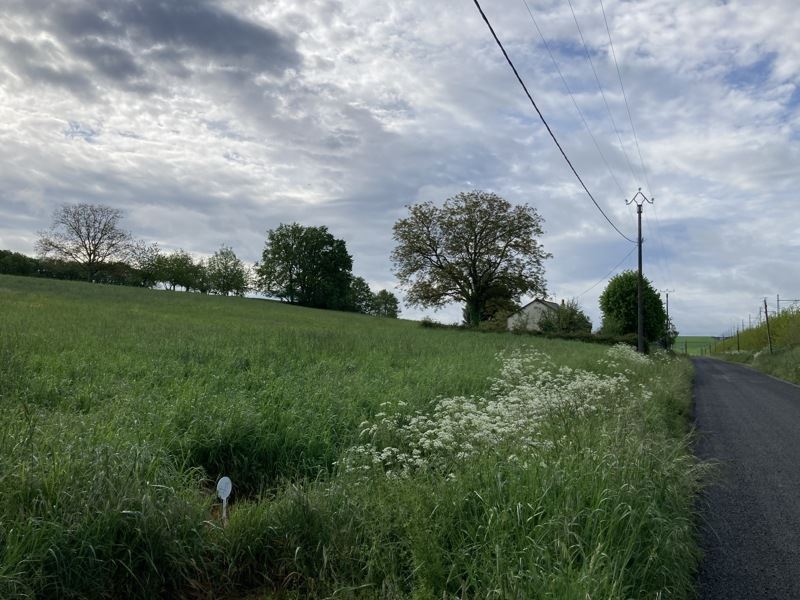 Vente Terrain NOYANT DE TOURAINE - -830 m² - (37800)